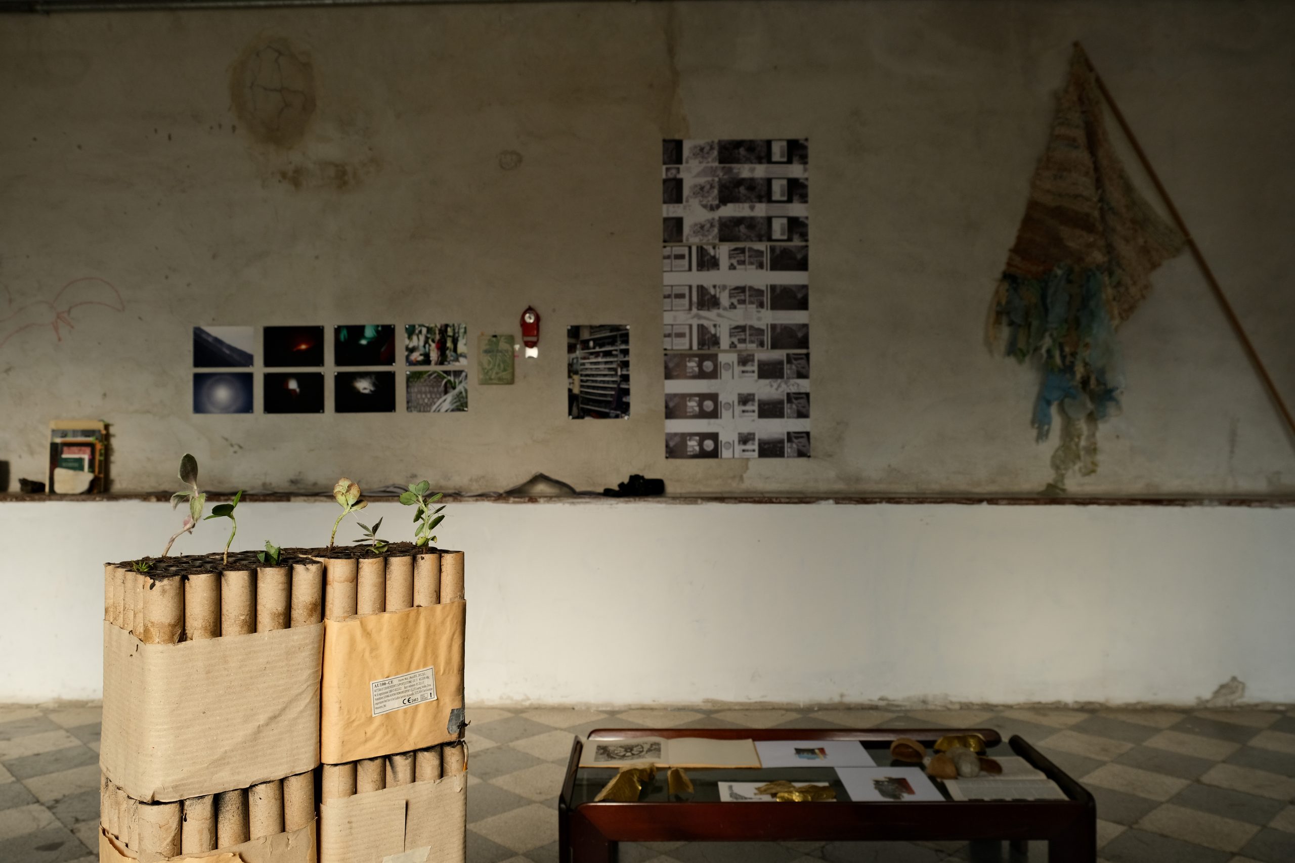 Barricata S. Rosalia