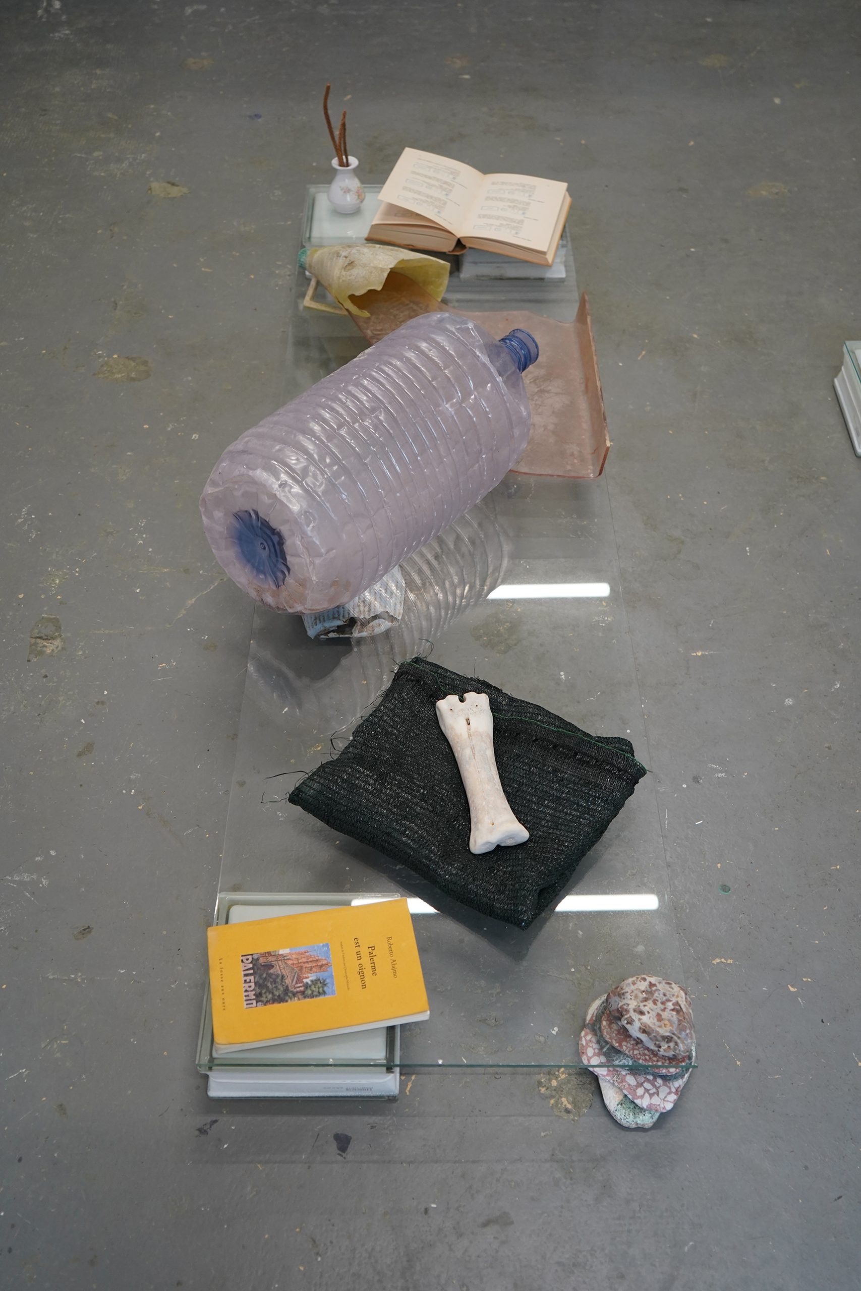 South coast S. Rosalia