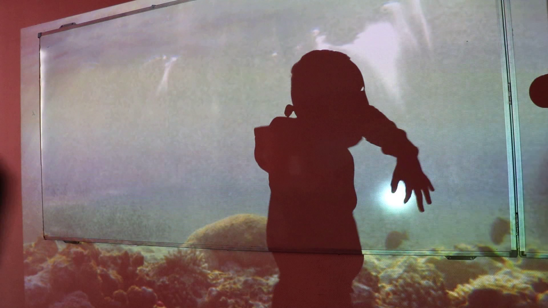 Les animaux ont bon dos et les chimères sont extraordinaires